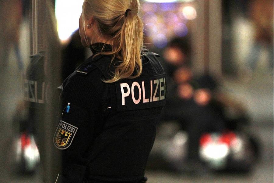 Unbekannte stehlen sechs Hunde aus Tierheim in Dorf Mecklenburg