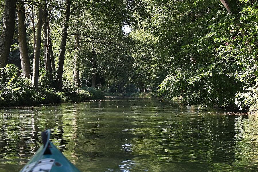 Grüne fordern Reform der Wasserentnahmeentgelte in Brandenburg