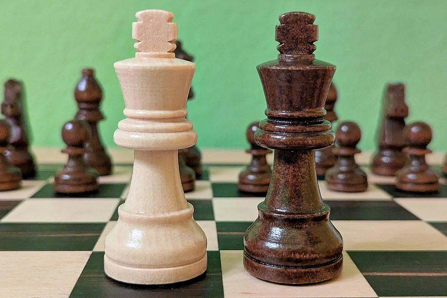 Schachgroßmeister Rogoff und Merkels DDR-Schachvergangenheit
