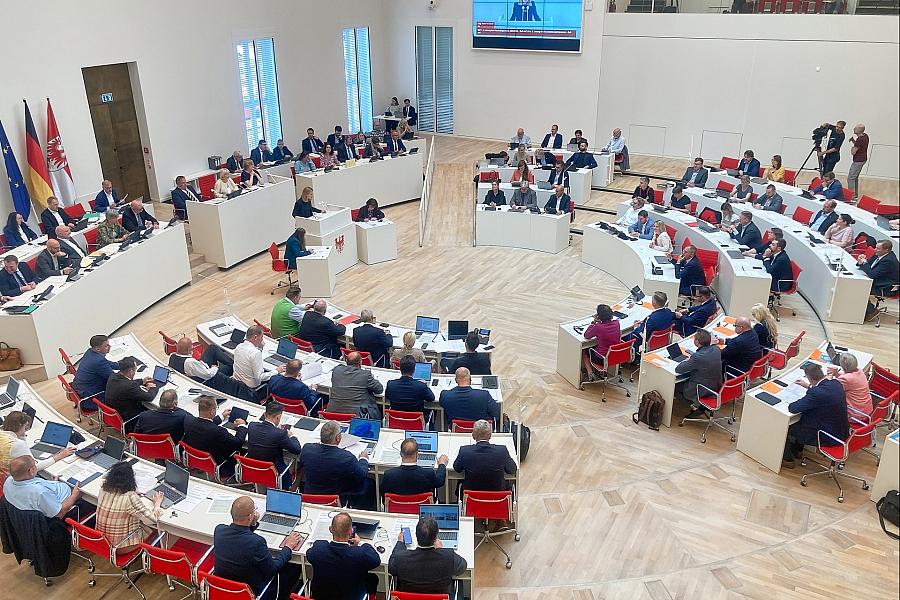 Grüne Brandenburg kritisieren Haushaltsverabschiedung als unsicher für die Zukunft