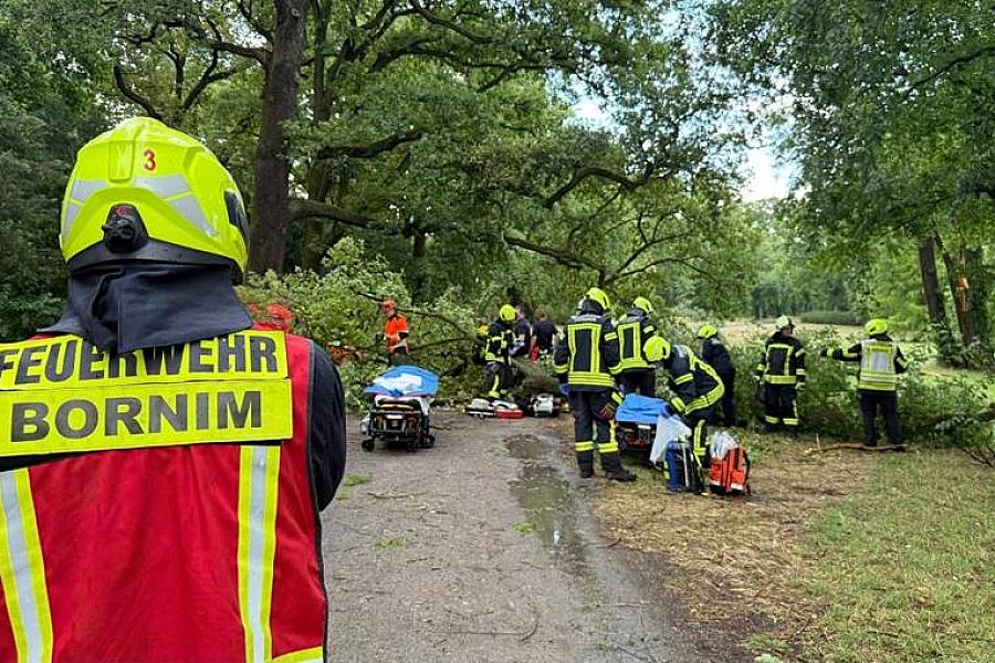 Schweres Unwetter in Potsdam verletzt zwei Personen durch Baumsturz