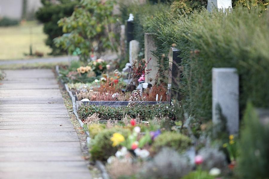 Sterbefallzahlen in Deutschland Q2 2025 unter Vorjahreswerten – Hitzewelle zeigt Effekt