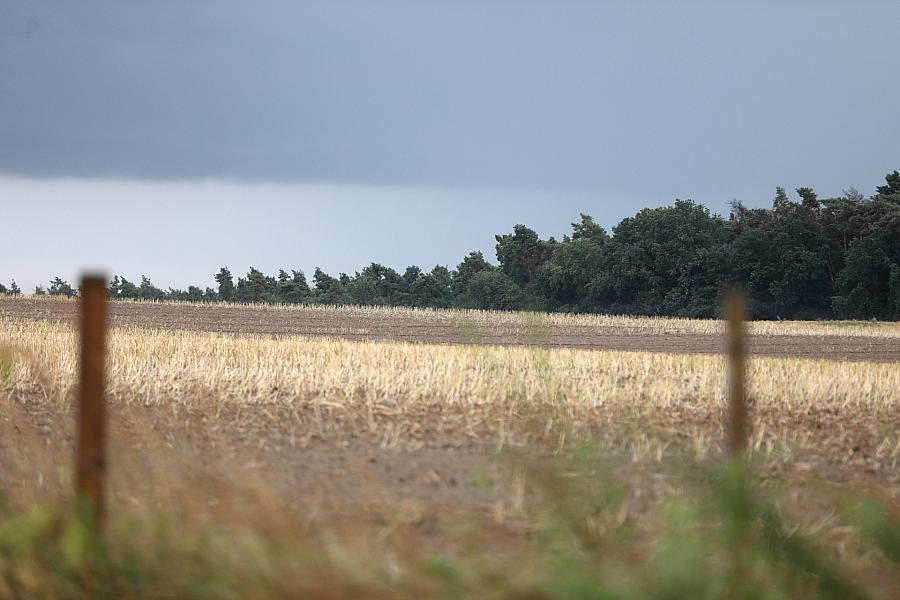 Wetterbericht für Berlin/Brandenburg (15.07.2025)