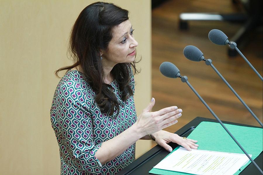 AfD-Verbotsverfahren laut Berlins Justizsenatorin aktuell kaum durchsetzbar