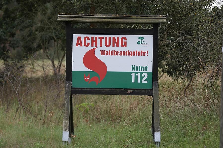 Feuerwehren fordern mehr Hubschrauber zur Waldbrandbekämpfung in Deutschland