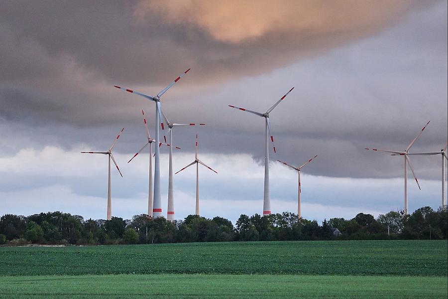 BSW wehrt sich gegen Berliner Windkraftpläne an Grenze zu Brandenburg