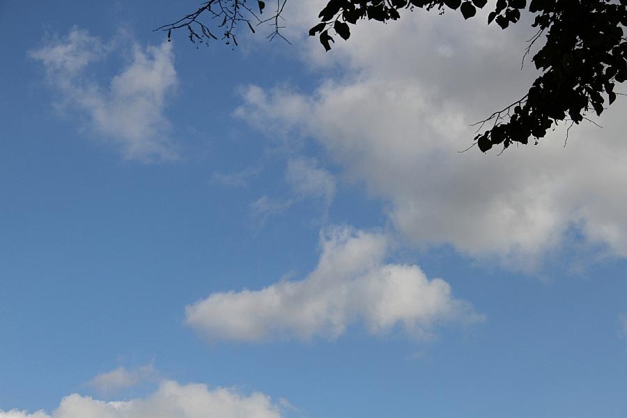 Wetterbericht für Berlin/Brandenburg (05.07.2025)