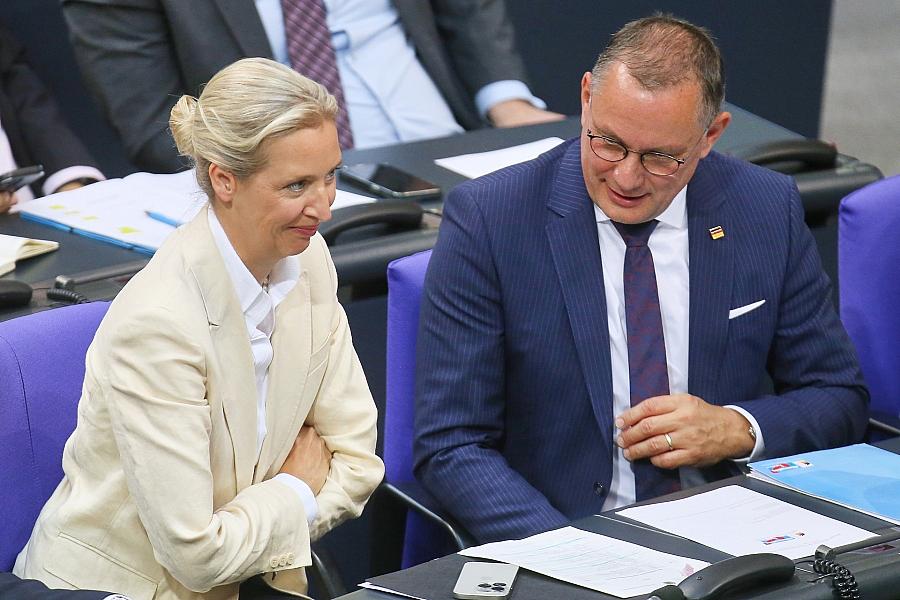 AfD als Profiteur der gescheiterten Verfassungsrichter-Wahl – Analyse eines Politologen