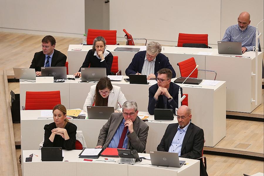 BSW-Fraktion fordert zielgerichtete Wolfsentnahme in Brandenburg