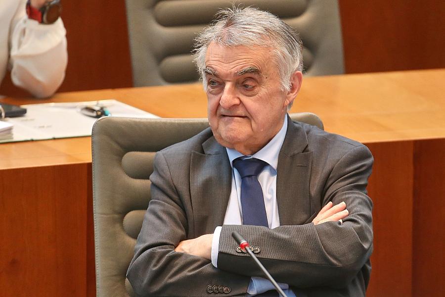 Linke kritisiert Reuls Vorstoß zur Erfassung doppelter Staatsbürgerschaften in Kriminalstatistik