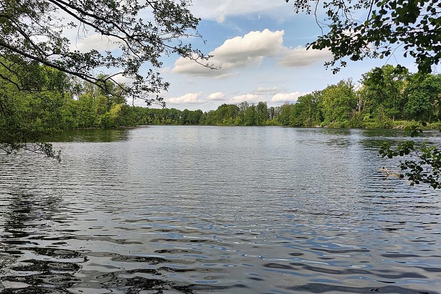 Machbarkeitsstudie zu sinkenden Wasserständen an Potsdamer Seen geplant