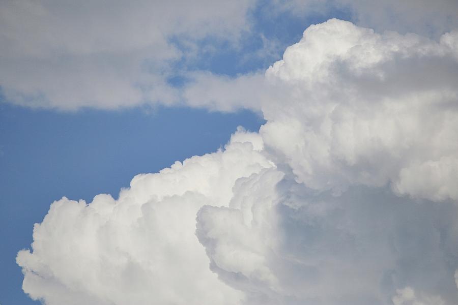 Wetterbericht für Berlin/Brandenburg (05.08.2025)