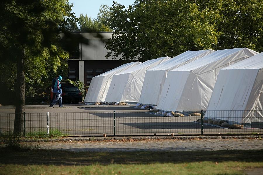 Schutzquote für männliche Afghanen in Deutschland sinkt drastisch auf 38,6 Prozent