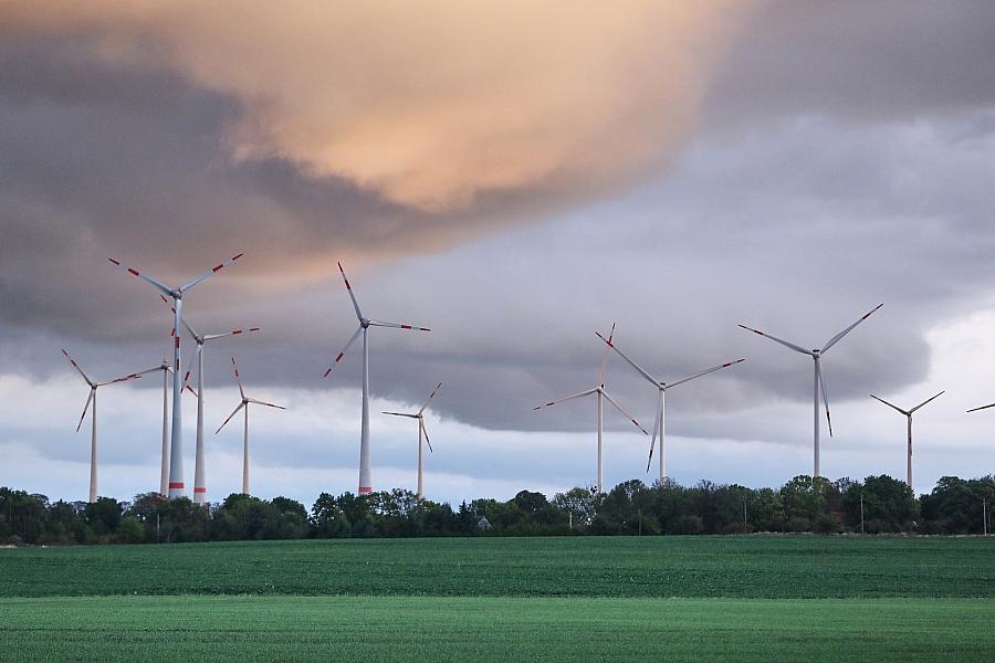 Brandenburger Grüne kritisieren Ost-Länder-Vorstoß zu Windkraftflächen