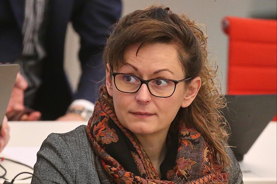 Brandenburger Grüne kritisieren Fernbleiben der Landesregierung bei Klimakonferenz