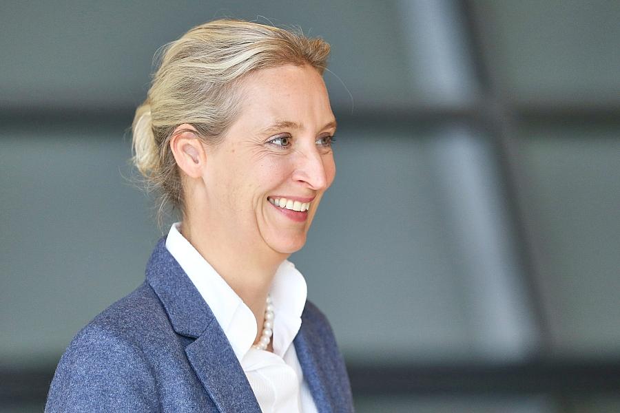 AfD erreicht Rekordhoch von 27 Prozent in aktueller Insa-Umfrage