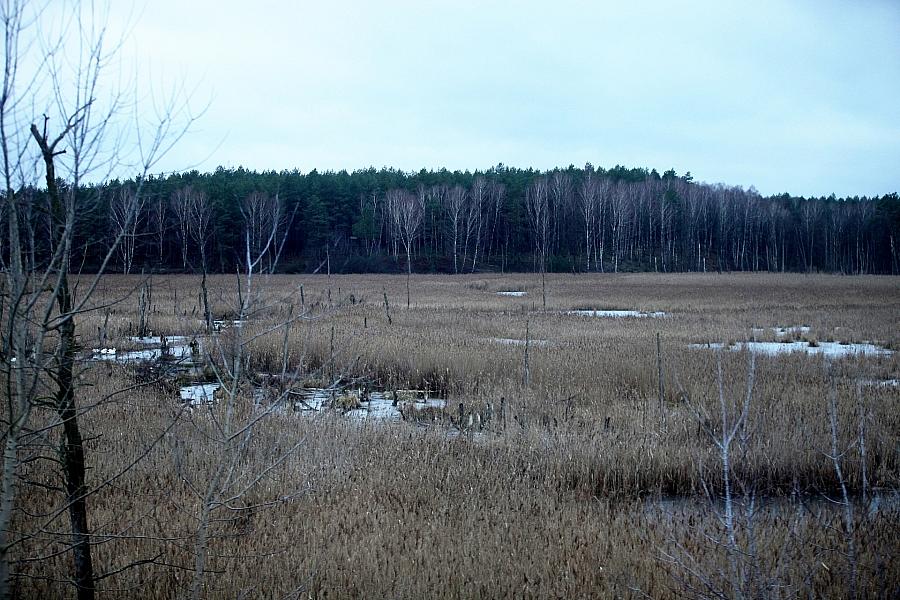 EU-Kommissarin Roswall setzt auf Naturgutschriften für Umweltschutz und Kreislaufwirtschaft