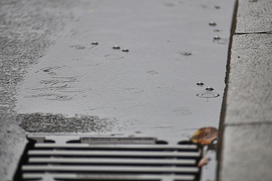 Wetterbericht für Mecklenburg-Vorpommern (13.11.2025)