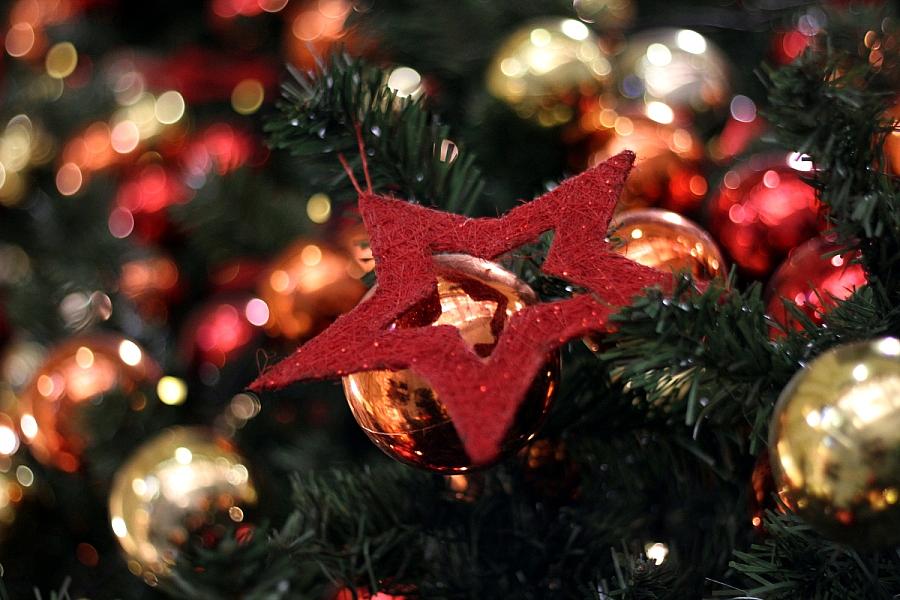 Sozialministerin Drese wirbt für Gemeinschaft an Weihnachten in Mecklenburg-Vorpommern