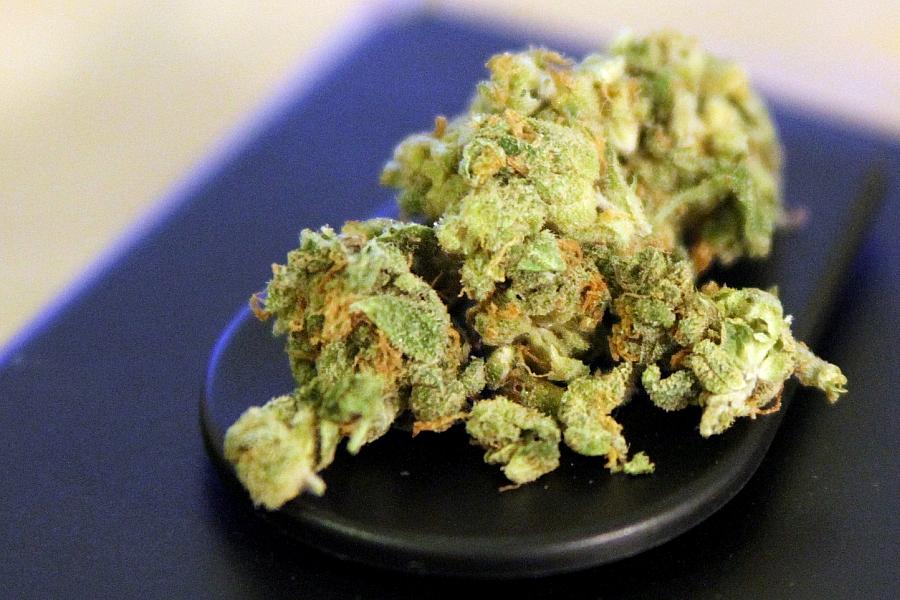 Cannabis (Archiv)
