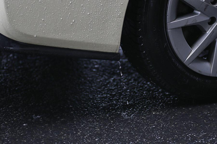 Wetterbericht für Mecklenburg-Vorpommern (23.02.2026)