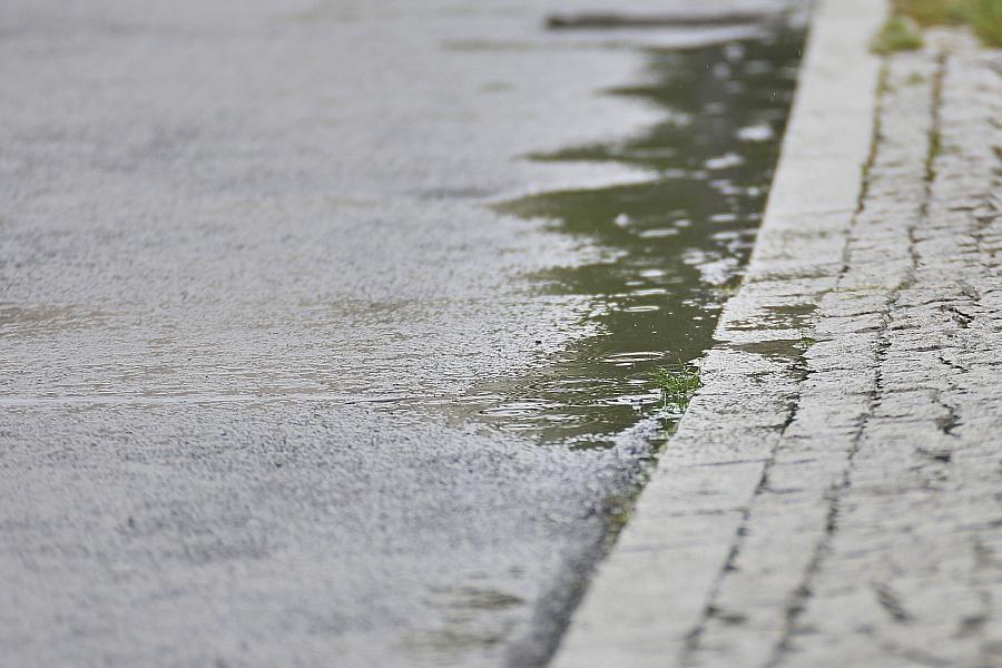 Wetterbericht für Mecklenburg-Vorpommern (12.02.2026)