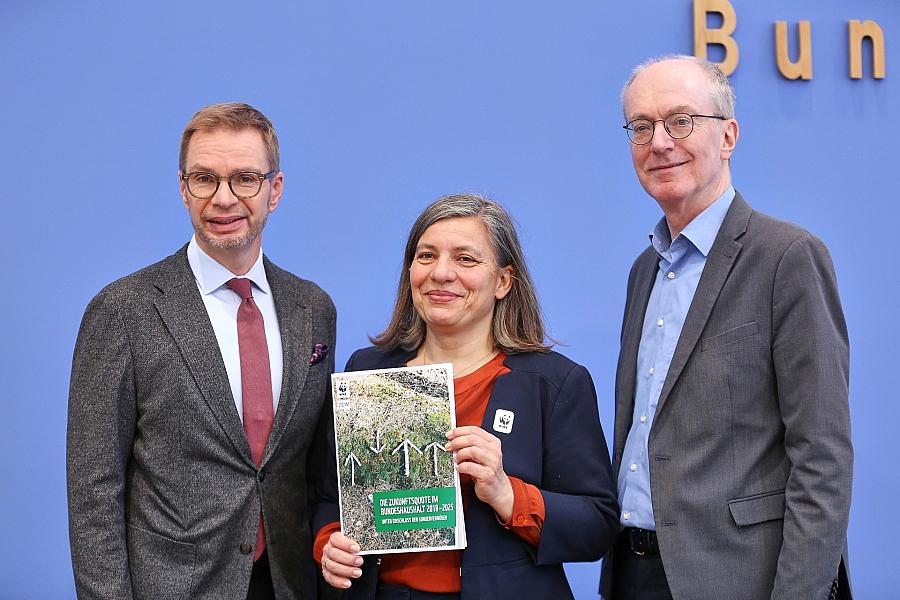 Zukunftsausgaben im Bundeshaushalt 2025 auf Rekordhoch – Studie zeigt starke Abhängigkeit von Sondervermögen