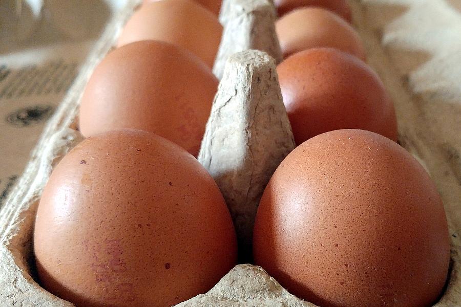 Eierknappheit wegen Vogelgrippe und steigendem Verbrauch – Versorgung zu Ostern laut ZDG sicher