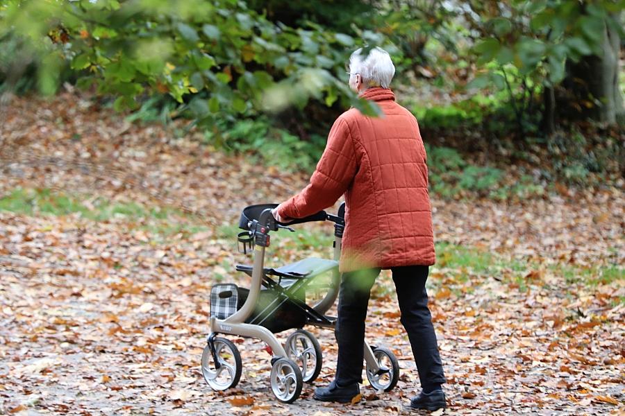 Handwerkspräsident Dittrich fordert Rentenreform mit längeren Erwerbszeiten und „generationengerechter“ Finanzierung