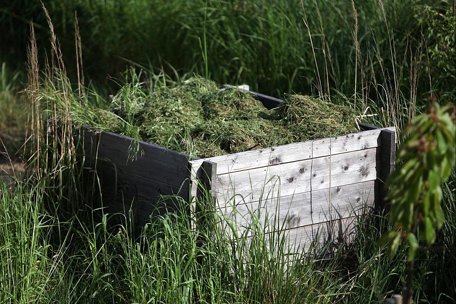 Städtetag fordert Nachtfahrverbot für Mähroboter zum Schutz von Igeln und Kleintieren