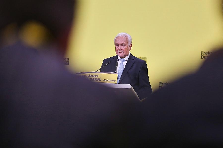 Wolfgang Kubicki (Archiv)