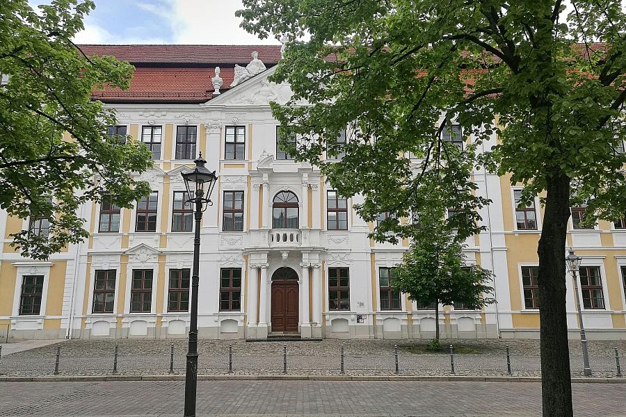 AfD bereitet sich auf Regierungsübernahme in Sachsen-Anhalt vor: Personalplanungen für Ministerien und Schlüsselstellen laufen