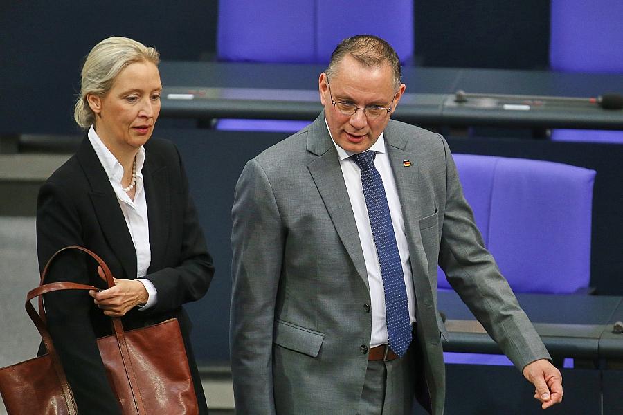 Alice Weidel und Tino Chrupalla (Archiv)