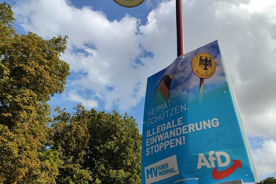 AfD bleibt in Mecklenburg-Vorpommern mit 36 Prozent klar stärkste Kraft vor der Landtagswahl