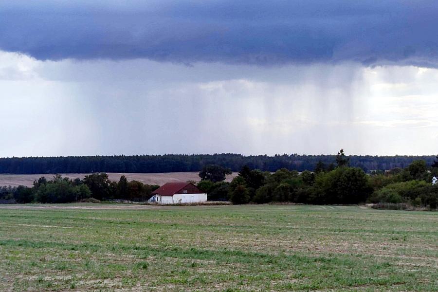 Wetterbericht für Mecklenburg-Vorpommern (19.05.2026)