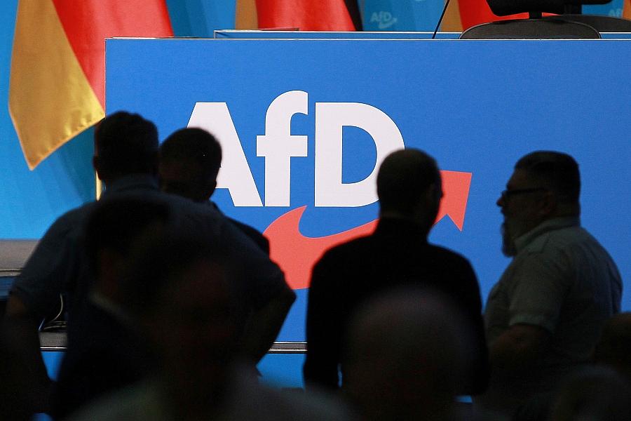 Polizeigewerkschaften warnen: AfD-Regierungsbeteiligung in Sachsen-Anhalt könnte Sicherheitsbehörden gefährden