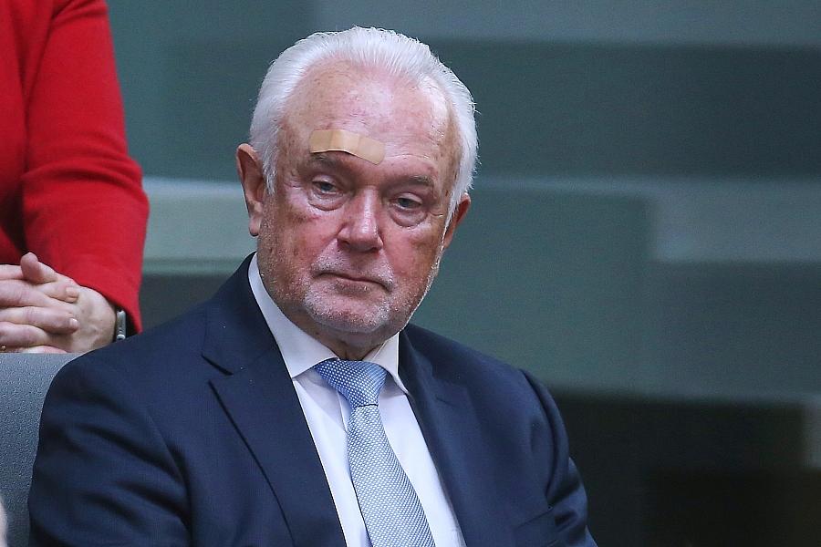 FDP unter Kubicki: Nur 25 Prozent der Deutschen glauben an Wiedereinzug in den Bundestag – Forsa-Umfrage zeigt große Skepsis