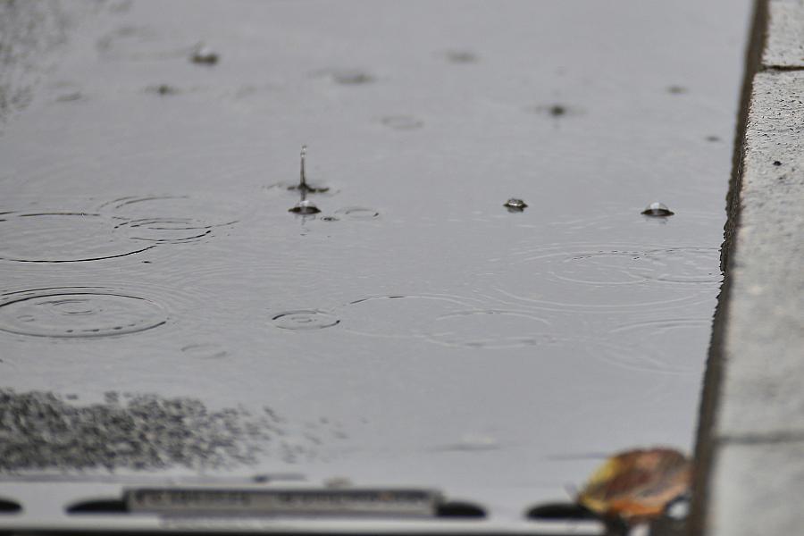 Wetterbericht für Mecklenburg-Vorpommern (11.05.2026)