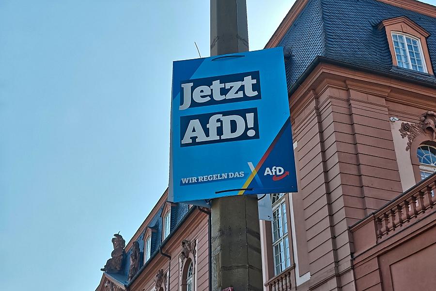 Meinungsforscher Güllner: Absolute AfD-Mehrheit in Sachsen-Anhalt „durchaus möglich“