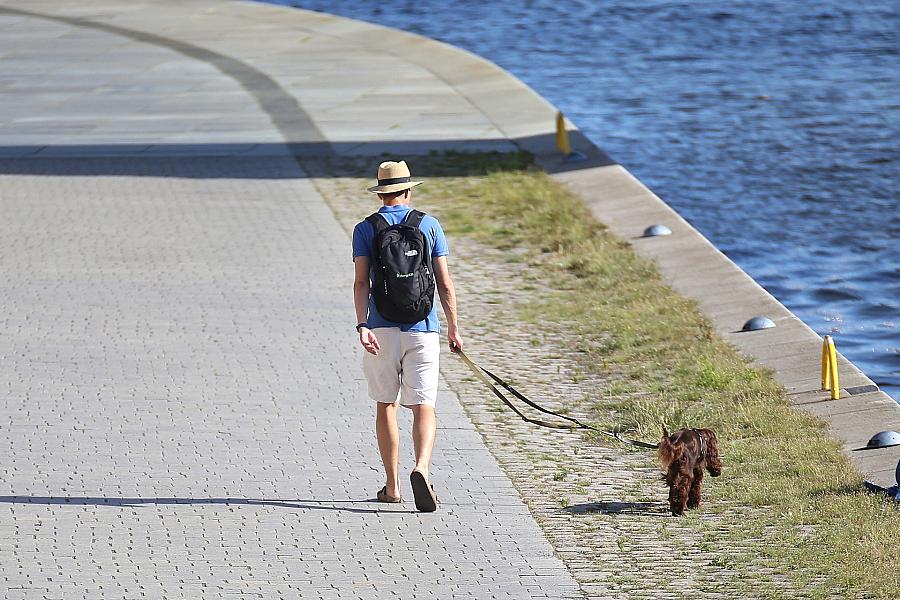 Berlin und Brandenburg von extremer Juni-Hitze betroffen