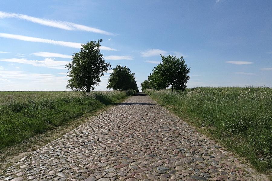 Heiße Tage und hohe Waldbrandgefahr in Mecklenburg-Vorpommern