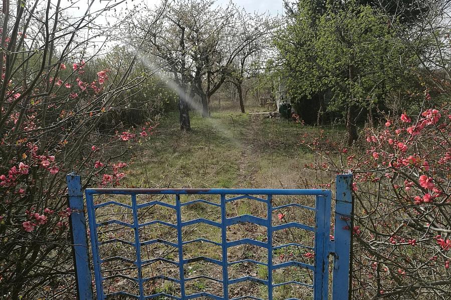 Naturnahes Gärtnern: 93 Prozent der deutschen Gartenbesitzer verzichten auf Pestizide
