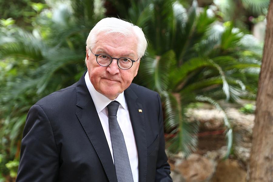 Frank-Walter Steinmeier (Archiv)