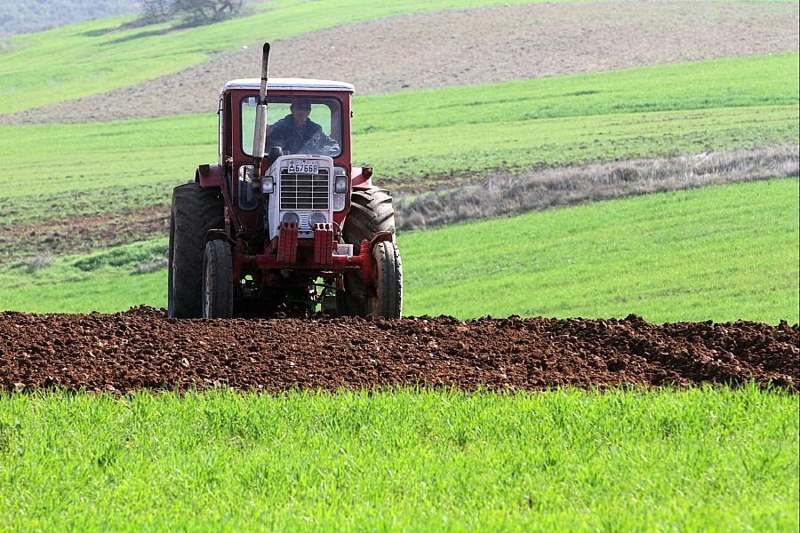 Sojabohnen-Anbaufläche in Deutschland wächst um 174 Prozent auf 43.300 Hektar – Bayern mit größtem Anteil