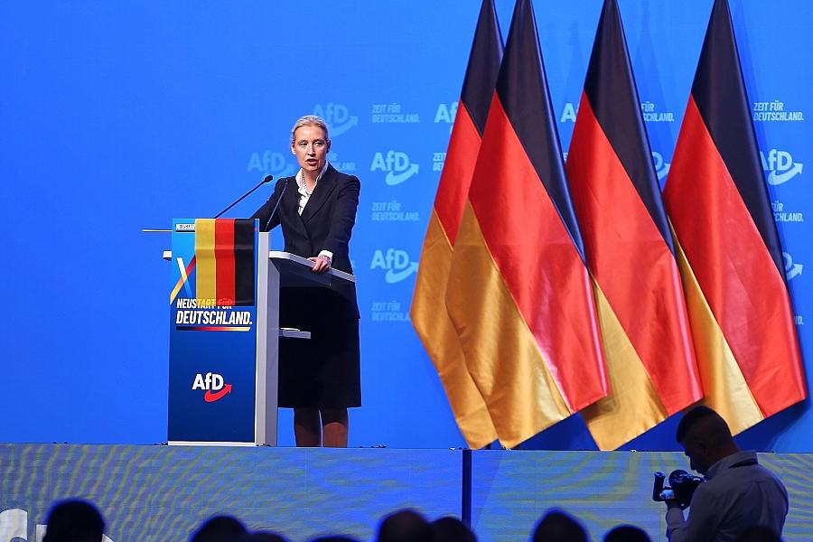 Politologe: AfD-Chefin Weidel hat innerparteilich nur begrenzte Macht