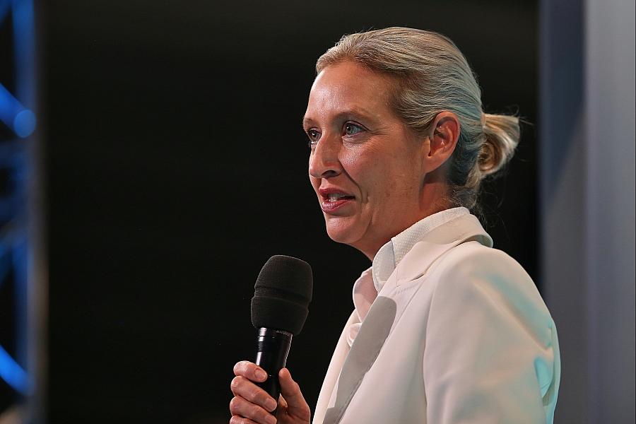 AfD legt laut ZDF-Politbarometer auf 28 Prozent zu und bleibt vor Union