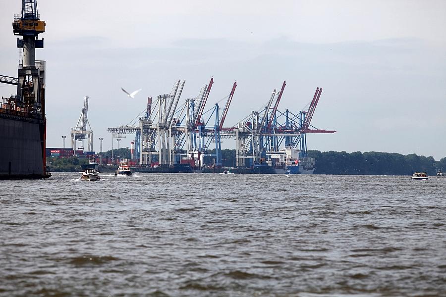Ifo-Exporterwartungen steigen im August auf höchsten Stand seit Februar 2022