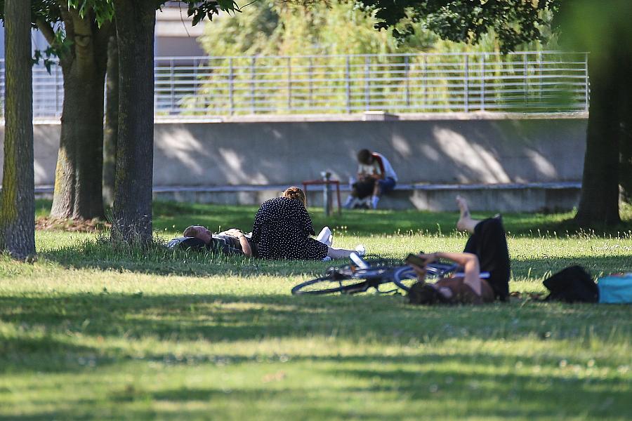 Sommer (Archiv)