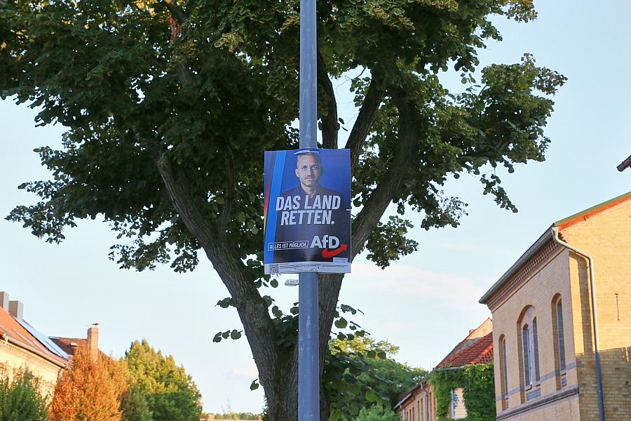 Wahlplakat vor der Landtagswahl in Sachsen-Anhalt (Archiv)