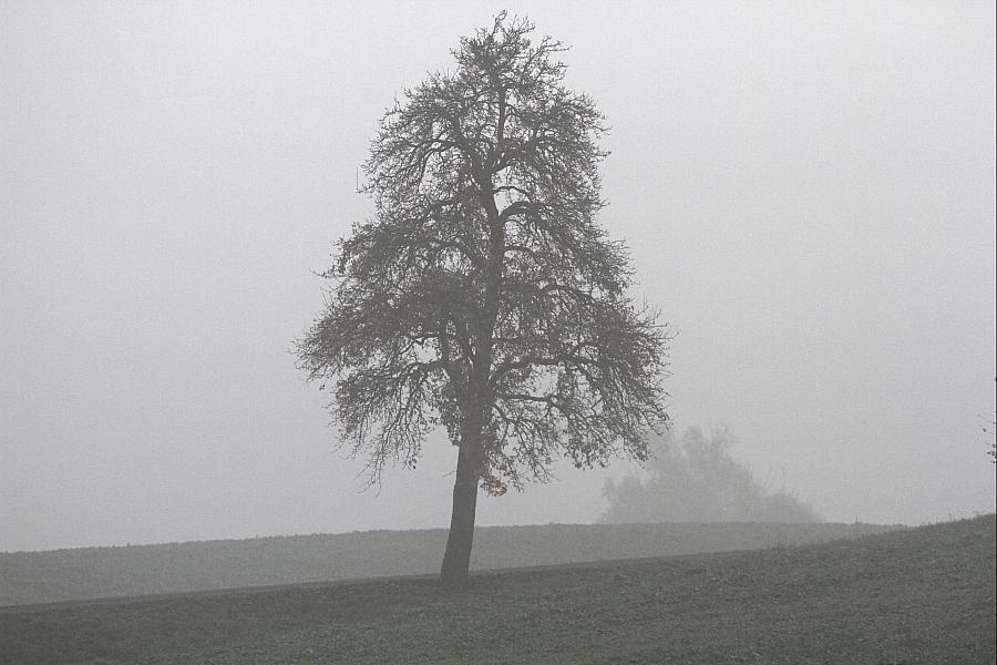 Wetterbericht für Mecklenburg-Vorpommern (25.08.2026)